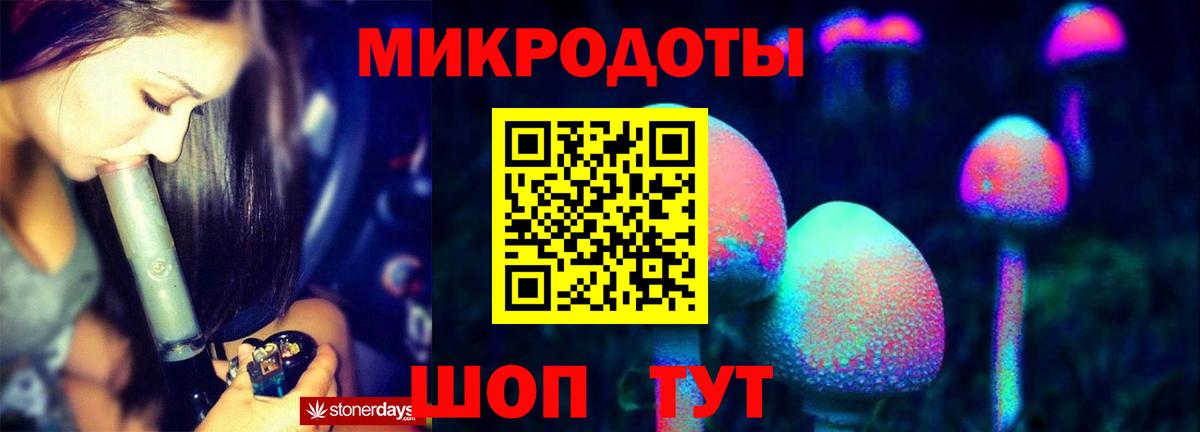 Псилоцибиновые грибы ЛСД Тайшет